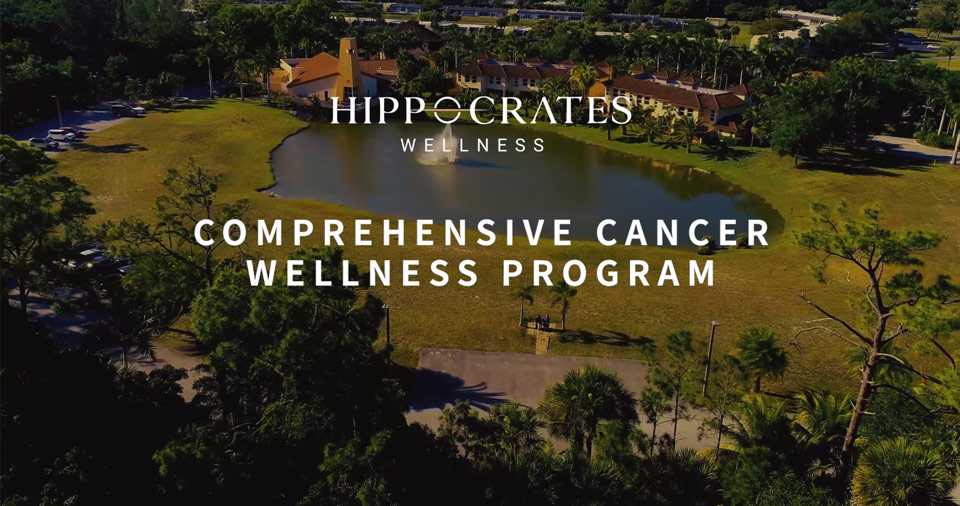 Comprehensive Cancer Wellness Program