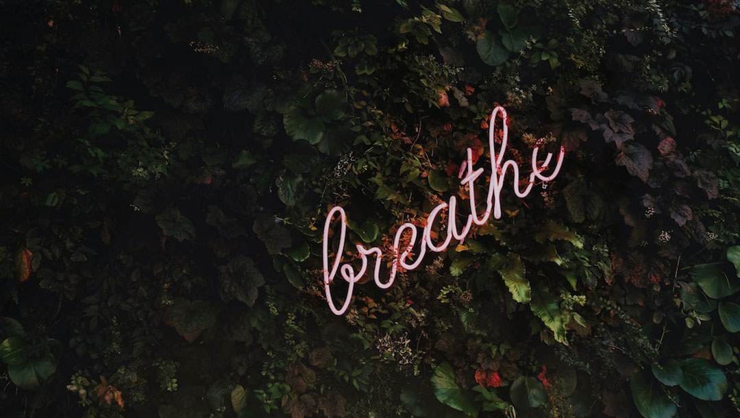 Use Mindfulness Apps or Guided Meditations
