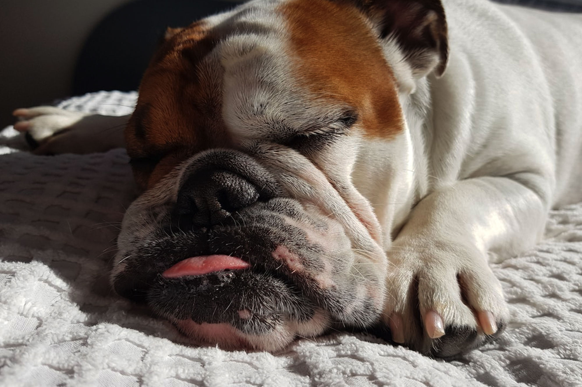 Establish a Bedtime Routine