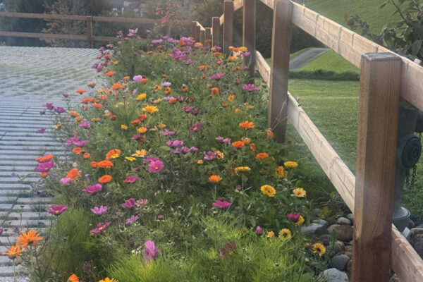 Dr. Rau's Sonnenberg Clinic - Oct 2025